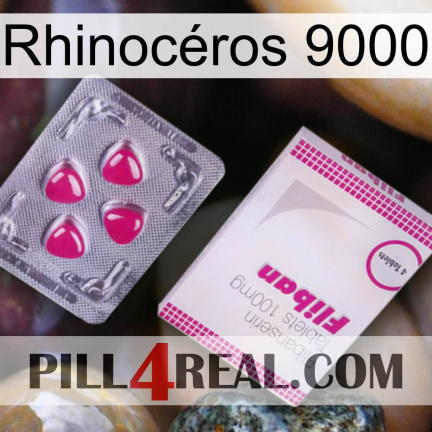 Rhinocéros 9000 32
